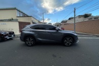 Lexus NX300 2.0 2020